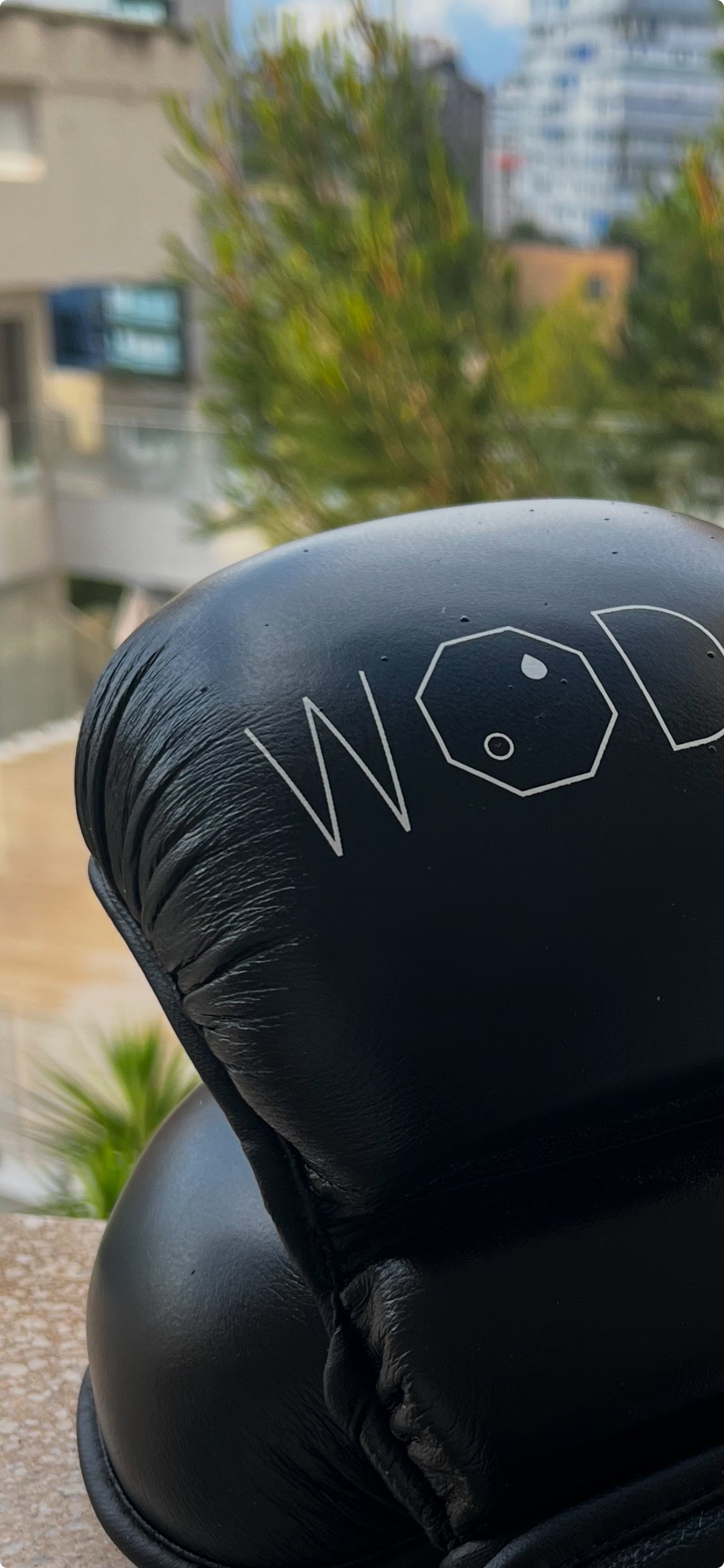 GANTS DE SPARRING MMA WODA