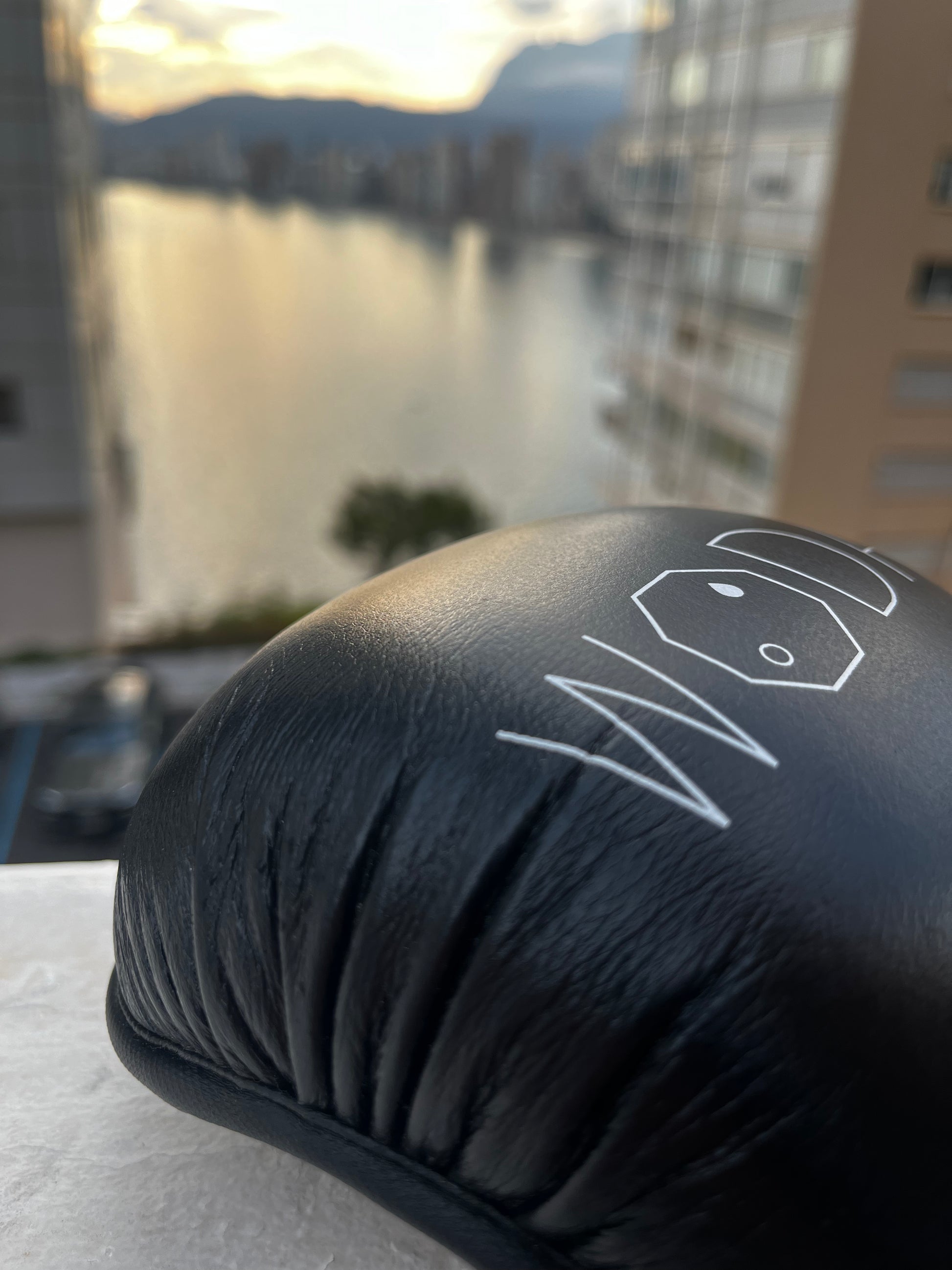 GANTS DE SPARRING MMA WODA